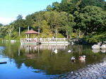 TS2D0381.JPG